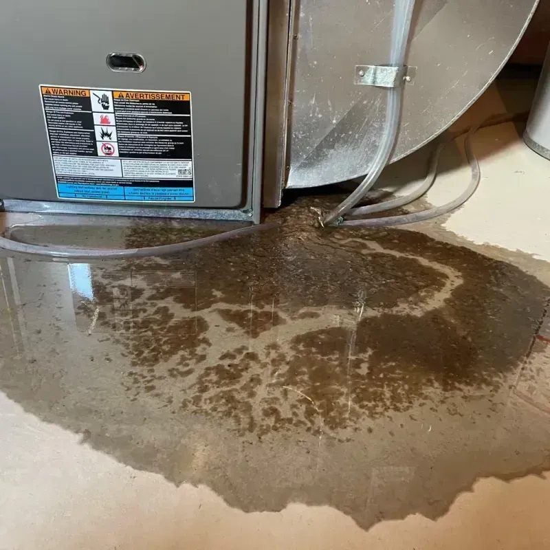 Appliance Leak Cleanup in Mount Pleasant, TN